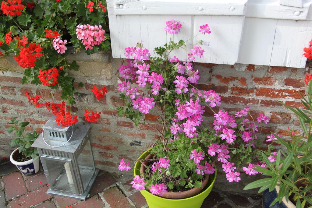 Chambres D'Hotes Manoir Du Buquet Honfleur Dış mekan fotoğraf