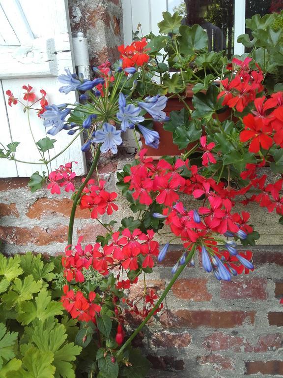 Chambres D'Hotes Manoir Du Buquet Honfleur Dış mekan fotoğraf